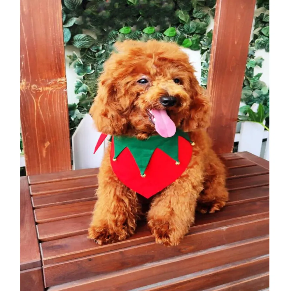 Dogobow Christmas scarf  for Dogs and Cats (Red & Green) (Get a Bow Free)